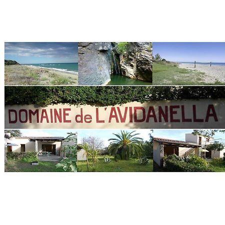 산타 루치아 디 모리아니 Domaine De L'Avidanella 아파트 외부 사진